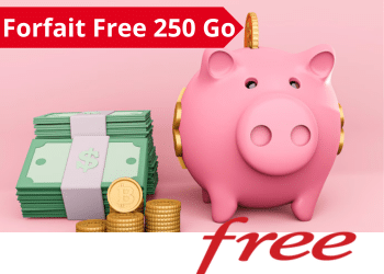 Forfait Free mobile 250 Go en promo