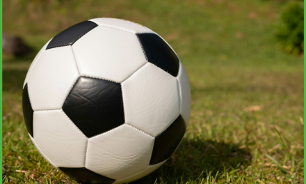Du foot français débarque gratuitement sur les box de Free, Orange, SFR et Bouygues… et sur la TNT locale !